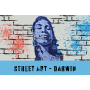 Visite Darwin et son Street Art